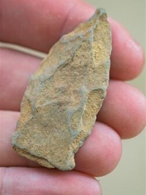 close-up image of an artifact