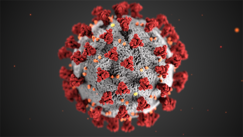 image of the coranovirus